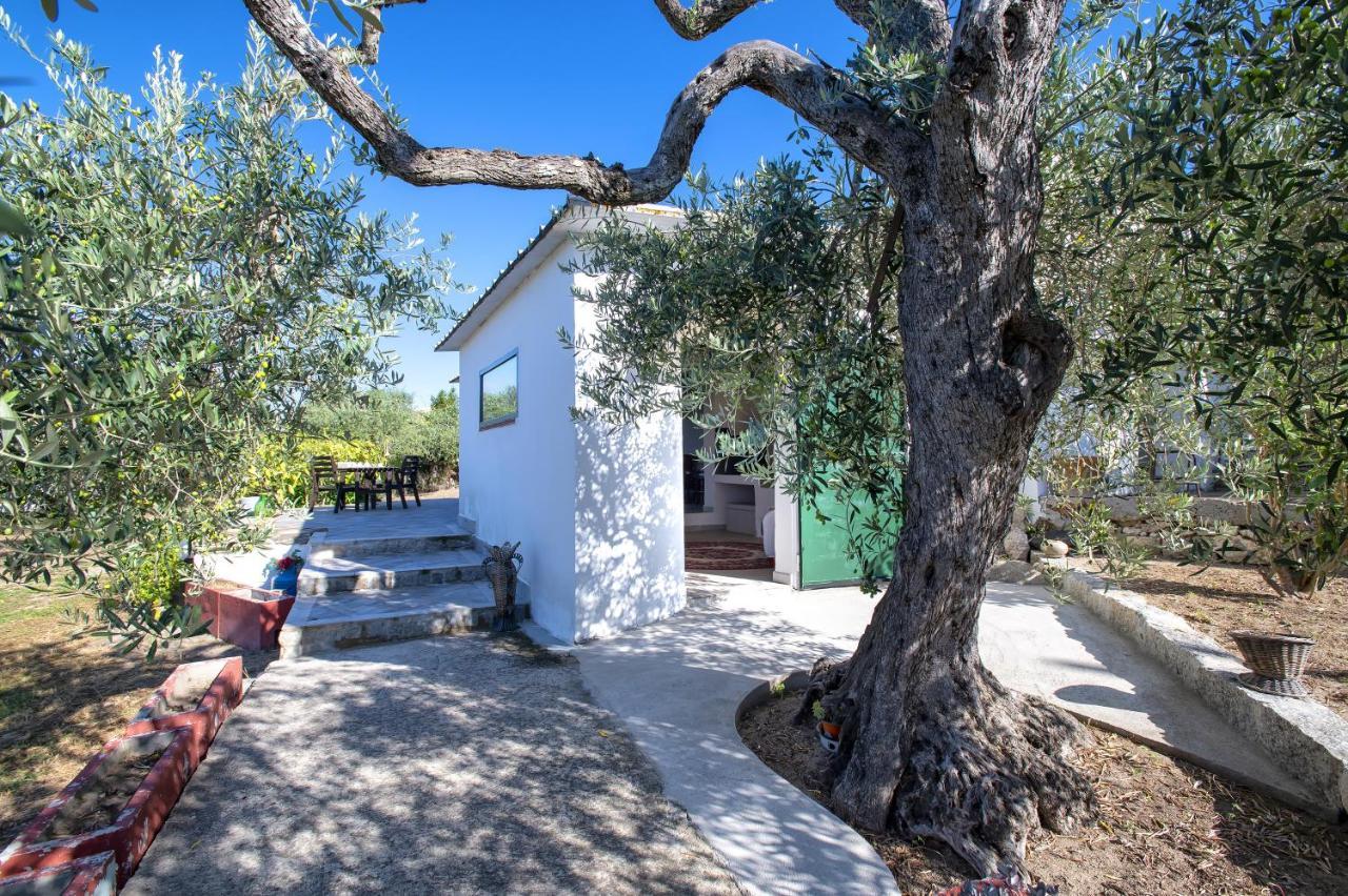 Villa Casa Rina Sassari Exterior foto